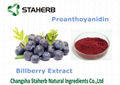 best selling high quality natural bilberry fruit extract powder proanthoyanidin