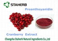 cranberry extract Proanthocyanidins