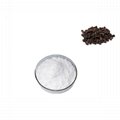 black pepper extract piperine 98% powder