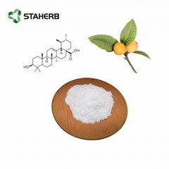 Loquat leaf extract Corosolic acid1-10% Eribotrya japonica (Thunb) Lindl)