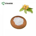 Loquat leaf extract Corosolic acid1-10% Eribotrya japonica (Thunb) Lindl) 2