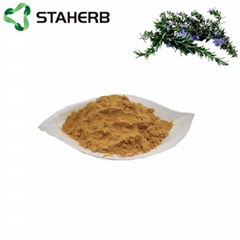 Rosemary extract carnosic acid 20%