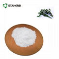 Ursolic acid 25% 1