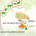 Natural Feed Additives