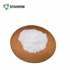 Loquat Leaf Extract 98% Maslinic acid