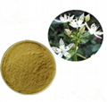 swertia chirata extract swertiamarin