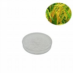 rice bran extract ferulic acid