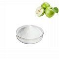 apple extract phloretin 98% 1