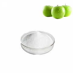 apple extract phlorizin