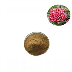 Rhodiola rosea extract salidroside