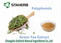 green tea extract polypenols