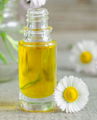 chamomile oil