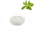Natural sweetener stevia leaf extract