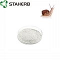 Pure Natural Skin Care Powder Snail Slime Extract 