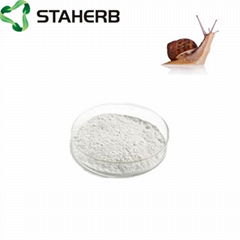 Pure Natural Skin Care Powder Snail Slime Extract