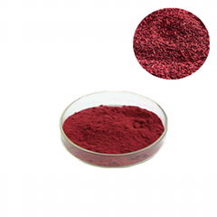 Red Yeast Rice Extract Powder0.2-3% Food grade