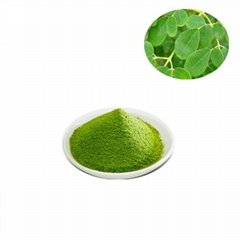 100% Natural Moringa Leaf Extract