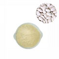 white kidney bean extract