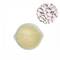 white kidney bean extract 1