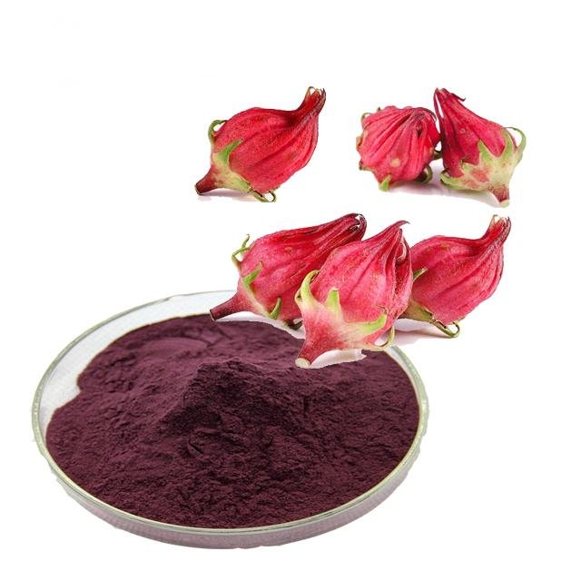 hibiscus flower extract anthocyan 2