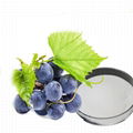 grape peel extract resveratrol 1