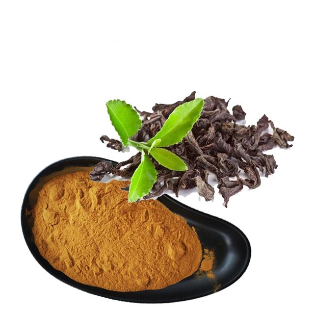 green tea extract polypenols 2