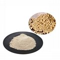 soybean extract Soy isoflavone