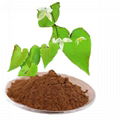 Epimedium Extract Epimedium Glycoside