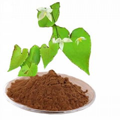 Epimedium Extract Epimedium Glycoside