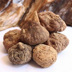 maca extract