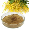 Cosmetic raw materials Catechu extract 1