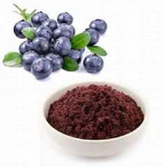 Acai Berry Extract Acai Berry Powder