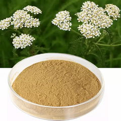 achillea millefolium Chiba yarrow extract powder