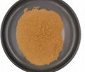 Acorus Calamus Extract