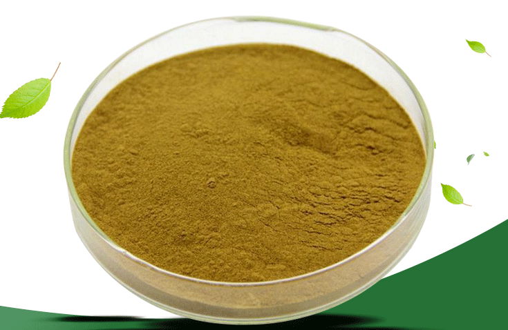 African Mango Extract 3