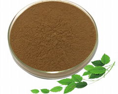 Alfalfa Extract