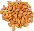 almond extract