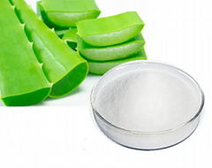 Aloe Gel (juice) Powder