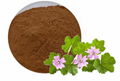 Althaea Rosae Extract