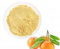 Amla Fruit Powder