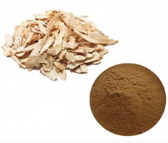 Angelica Extract