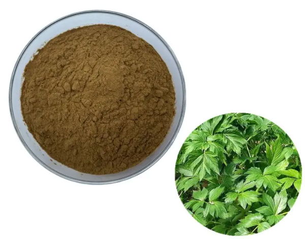 Angelica Keiskei Extract