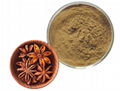 Anise Extract 1