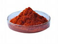 Antrodia Camphorata Extract Astaxanthin