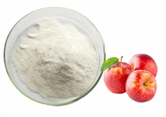 Apple extract apple powder