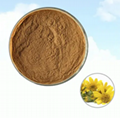 Arnica Extract 1