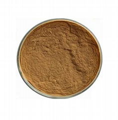 Artemisia Annua Extract