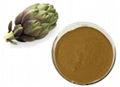 Artichoke Extract 1