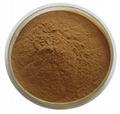 Ascophyllum Nodosum Extract