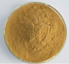 Astragalus Extract